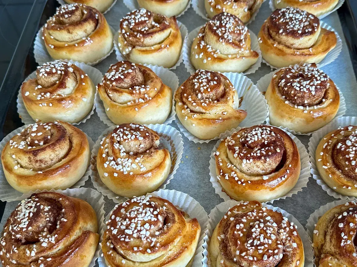 Freshly baked Swedish cinnamon buns in white paper cups on a baking tray, golden brown and topped with pearl sugar.