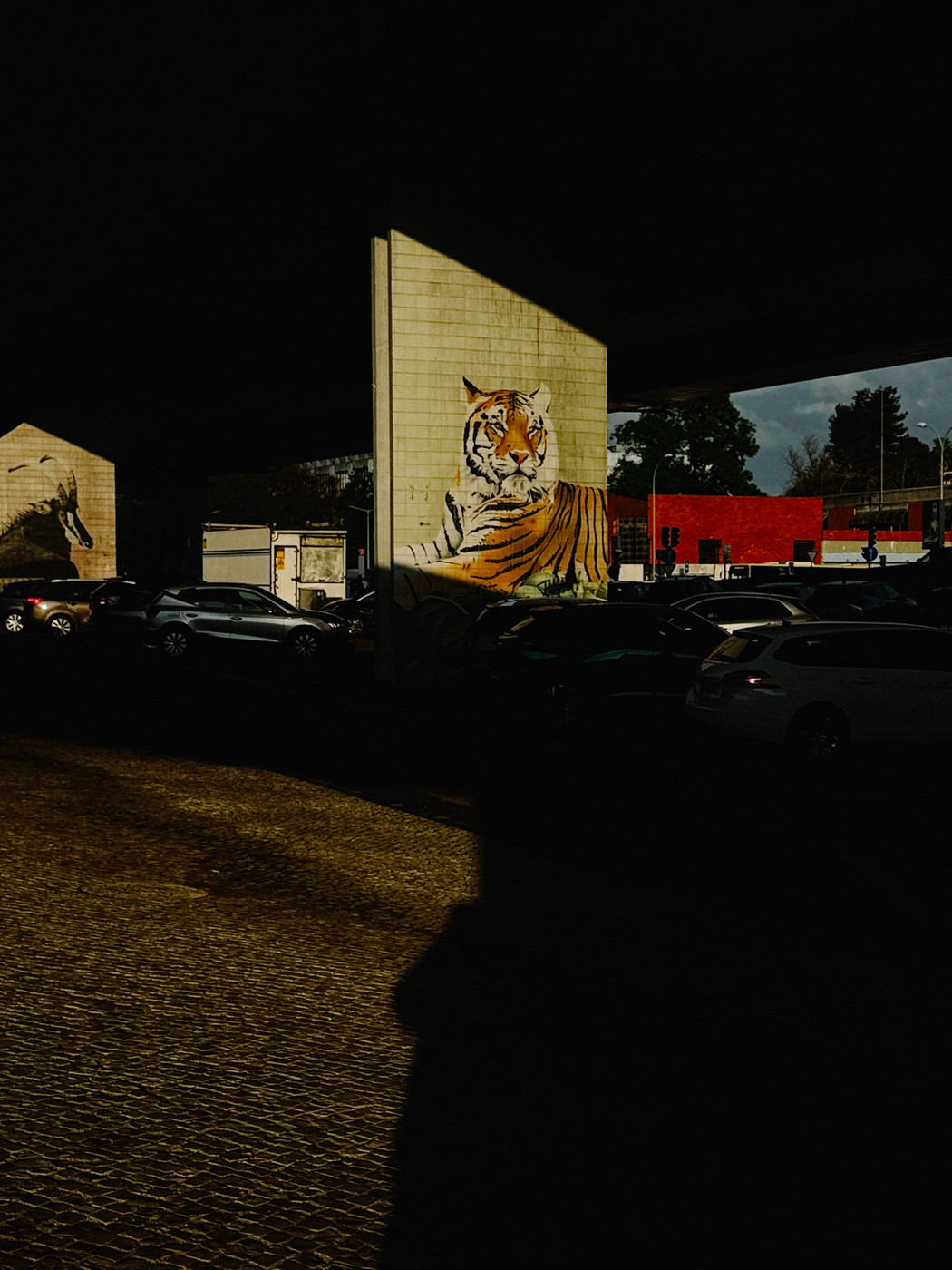 A mural of a tiger on a concrete wall under a bridge, partially lit by sunlight, with parked cars and a red building in the background.