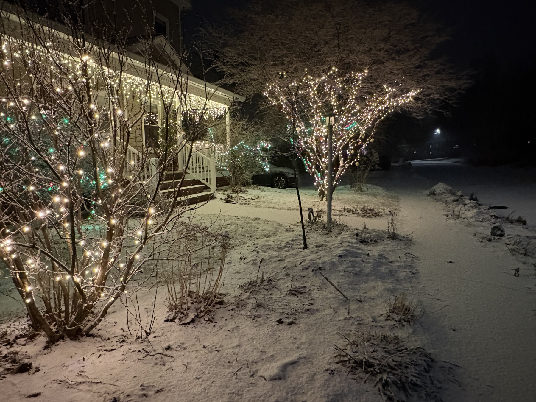 Christmas lights on trees and snow at night