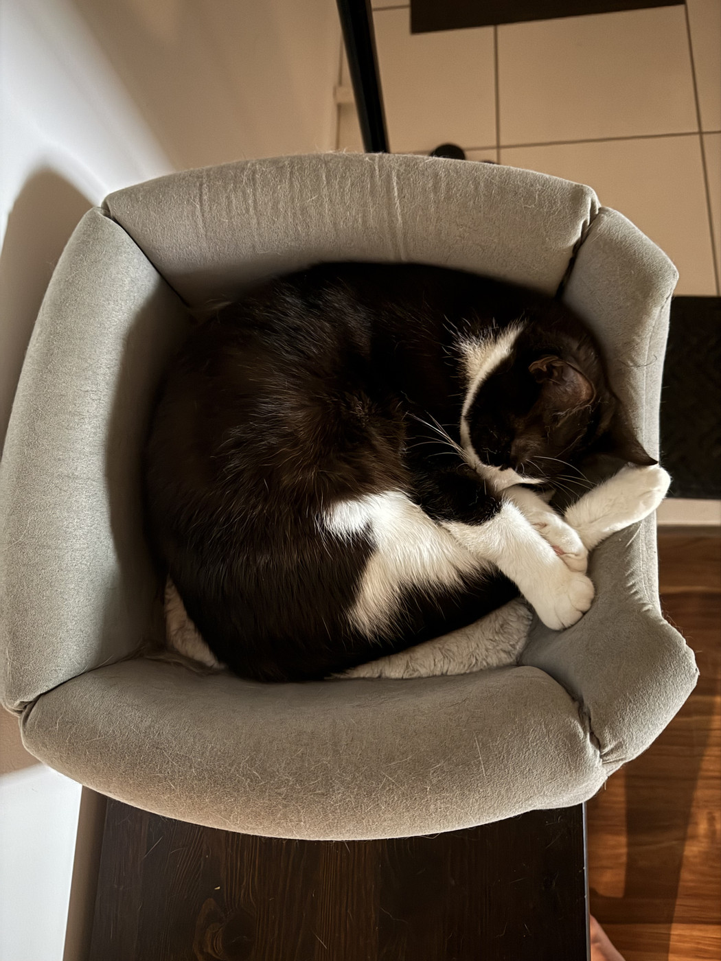 The photo was taken from above looking straight down at a black and white cat curled up inside a square shaped grey cat bed. 