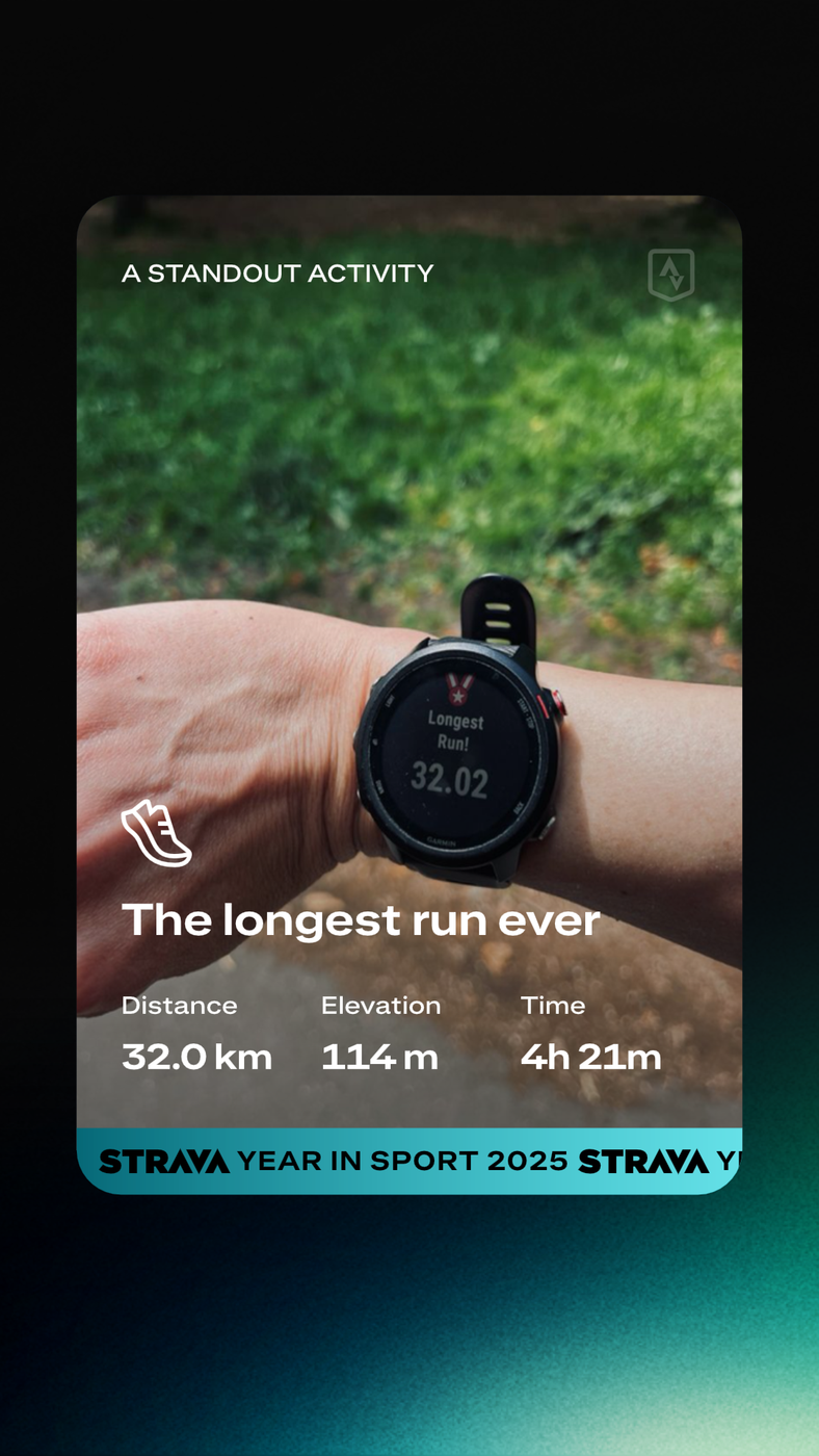 My year in running - alvin in the room