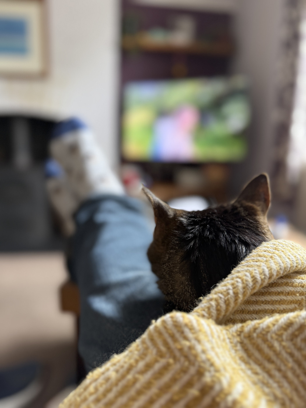 A person is lounging indoors with their feet up, wearing patterned socks and blue jeans, while a cat rests on their lap wrapped in a yellow knitted blanket. The background is softly out of focus, showing a television and a cosy living room setting.