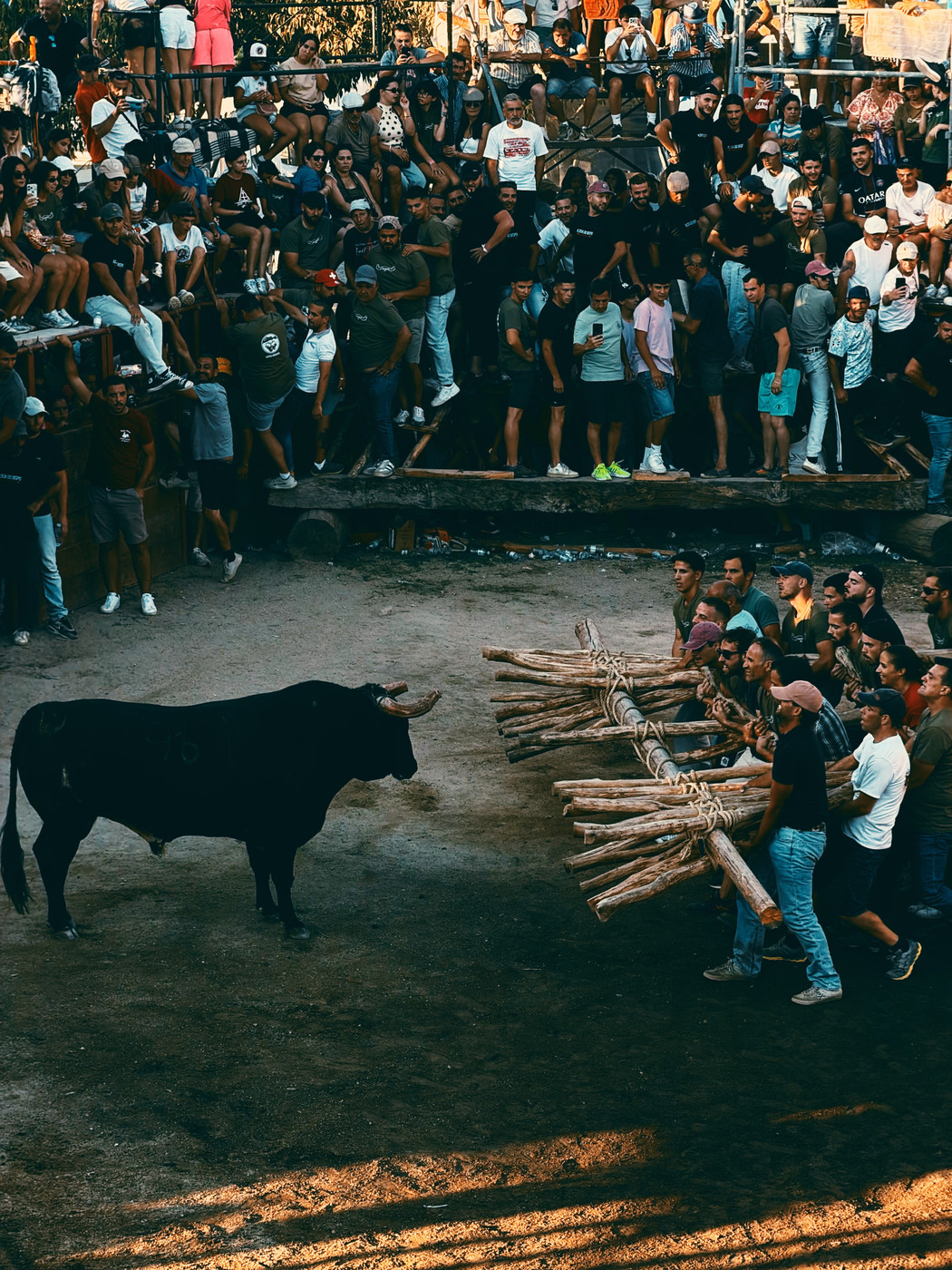 A group of people holding wooden barricades face a black bull in a dirt arena, while a large crowd watches from elevated stands.