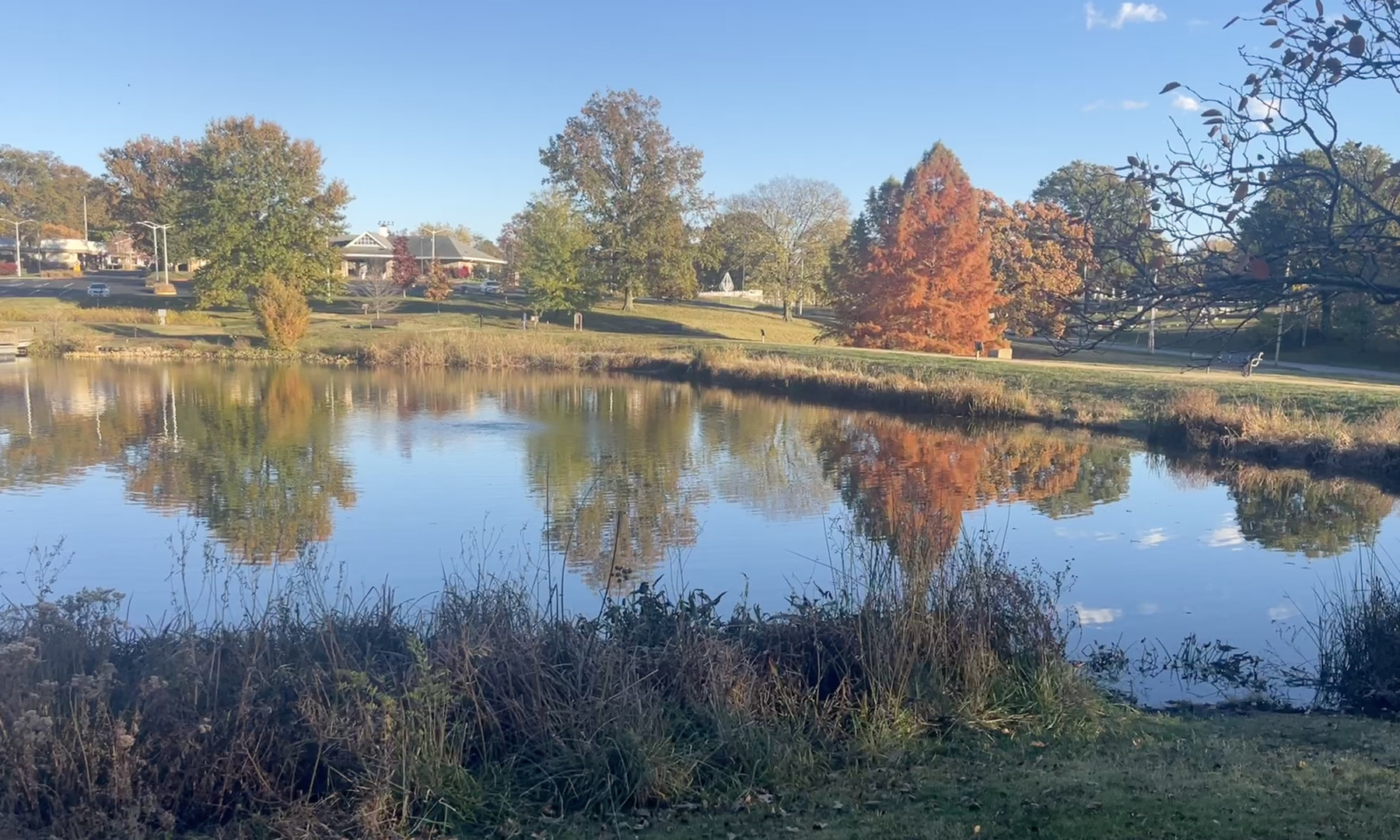 A pond with a walking path around it reflects green, yellow, and orange trees. A small portion of the bank with some brush in the foreground. Blue sky overhead. Behind the pond a hill slopes up to a building partially visible. 