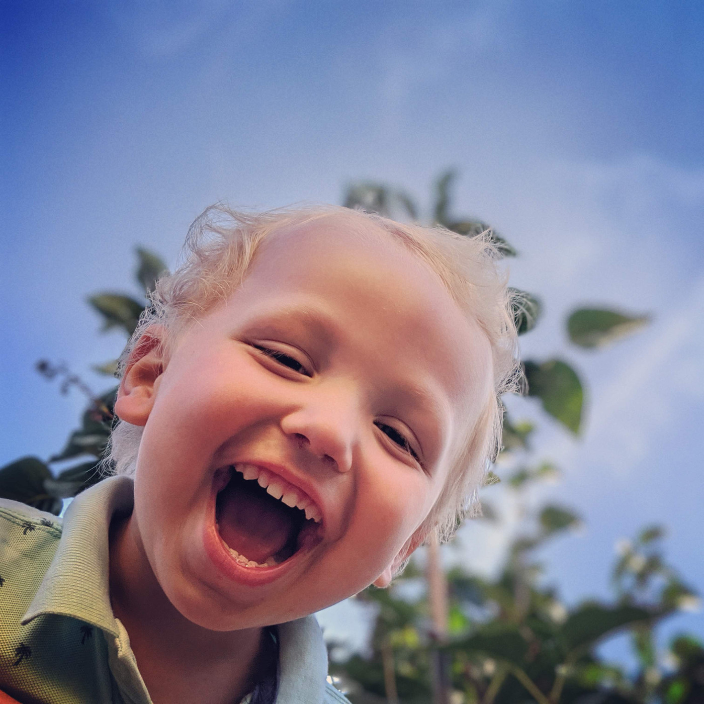 A boy with blond hair laughing with his mouth wide open, photographed from below against a blue sky and green leaves