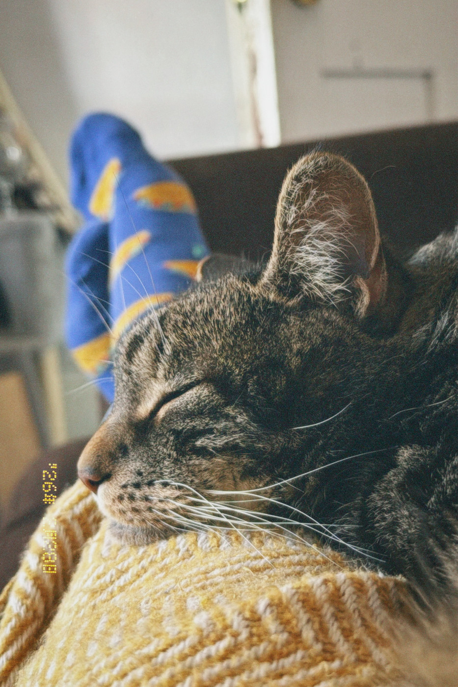 A tabby cat with brown and black fur is sleeping on a person's lap. The cat's eyes are closed and its head is resting on a yellow knitted blanket. The person's legs are visible, wearing blue socks with yellow and orange patterns. The background is blurred, but a white door and a brown piece of furniture can be seen. The overall mood of the image is peaceful and cosy.