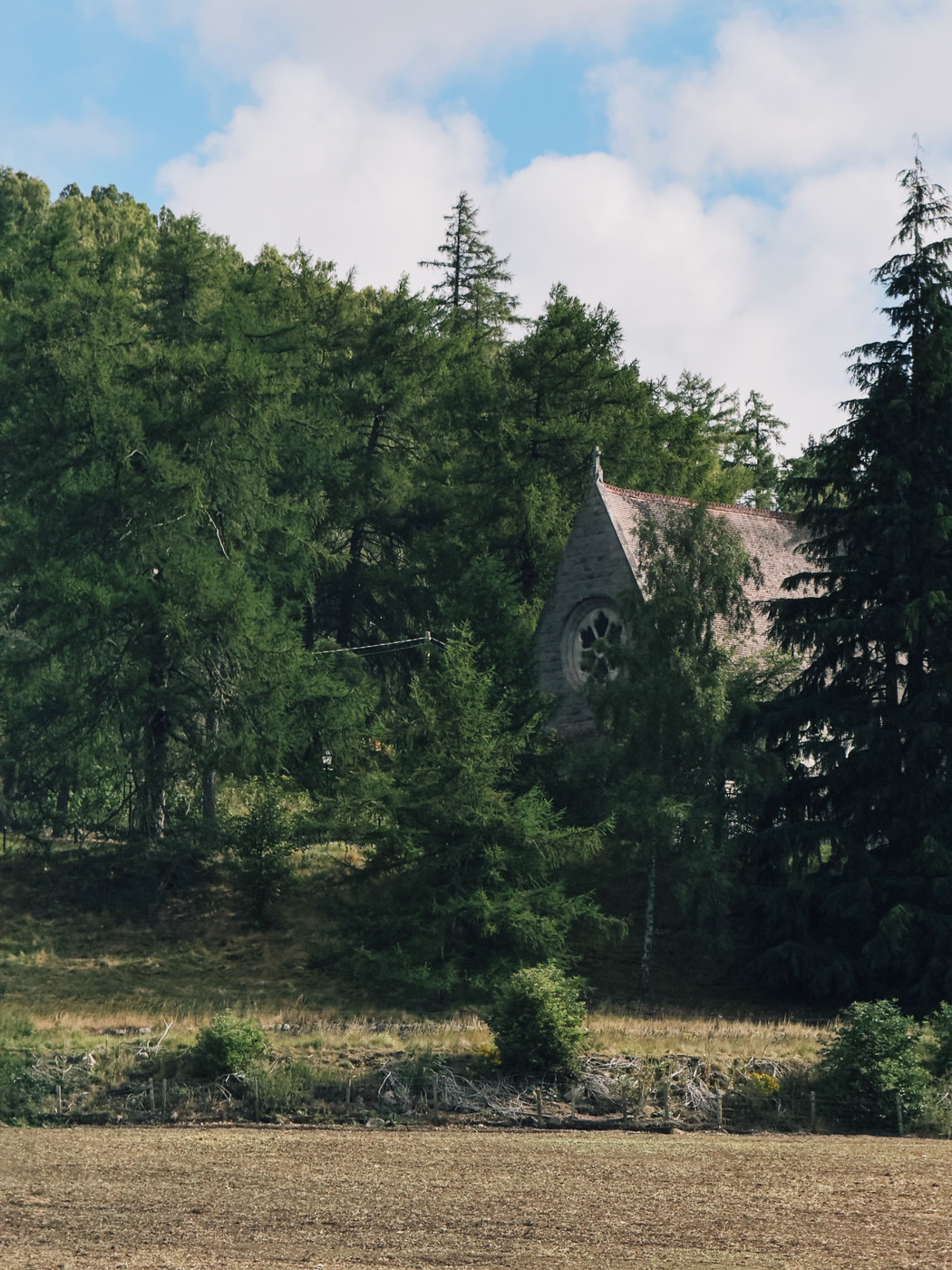 Stone church partially hidden among dense pine trees beside a harvested field under a blue sky with large clouds.