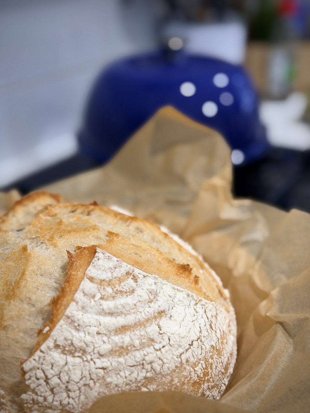 A crusty round loaf of bread dusted with flour, resting on baking paper with a blue Dutch oven in the background.