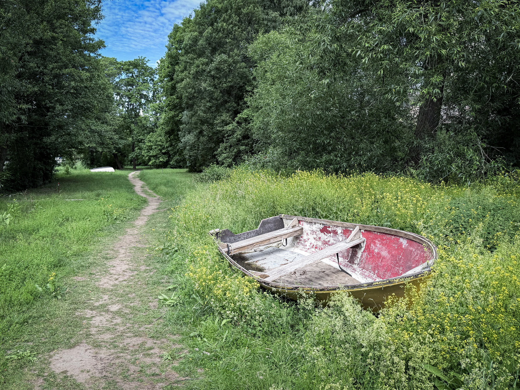 An old weathered rowboat with peeling red paint lying in tall grass and yellow wildflowers, next to a narrow dirt path through lush greenery.