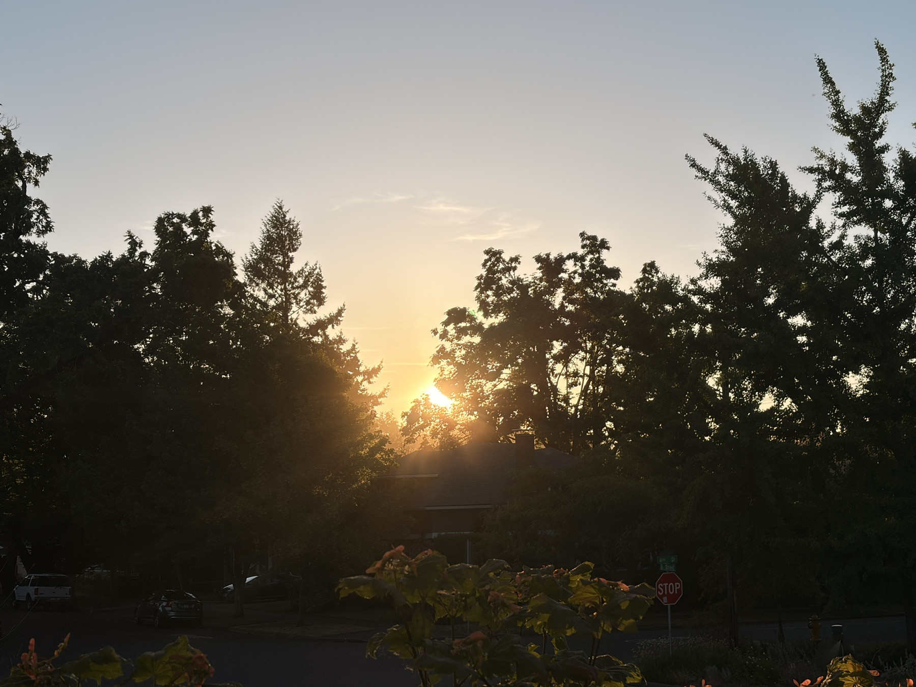 Looking out to the tree line, the sun slipping just below the line.