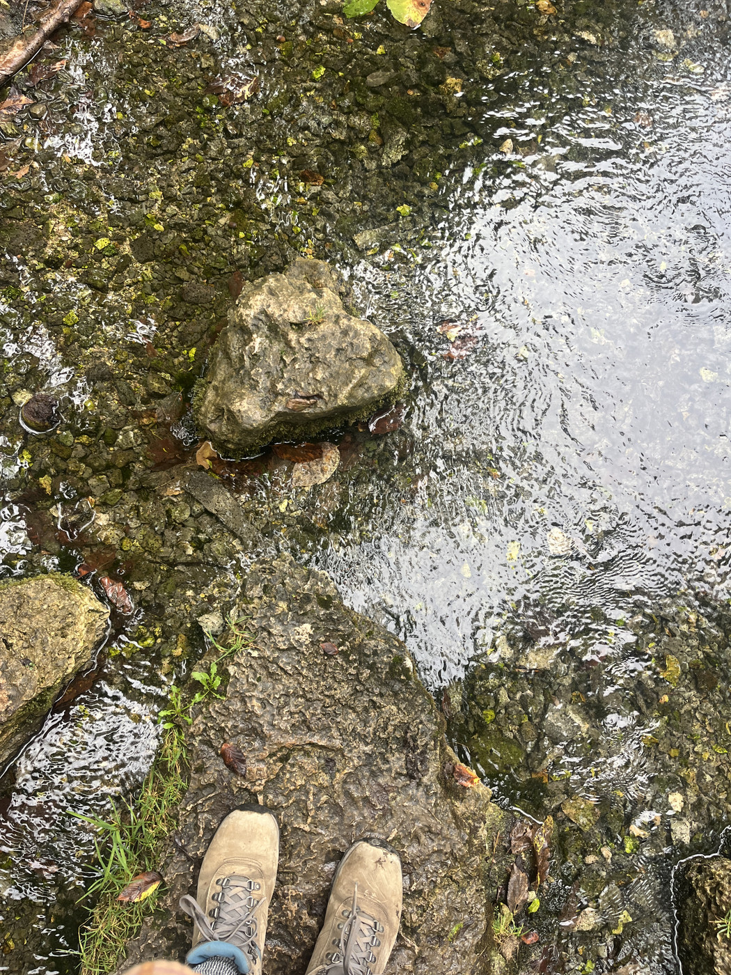 A pair of hiking boots standing on a rock that juts into a small pool of water with some light ripples and mossy rocks and light reflecting and a few floating leaves