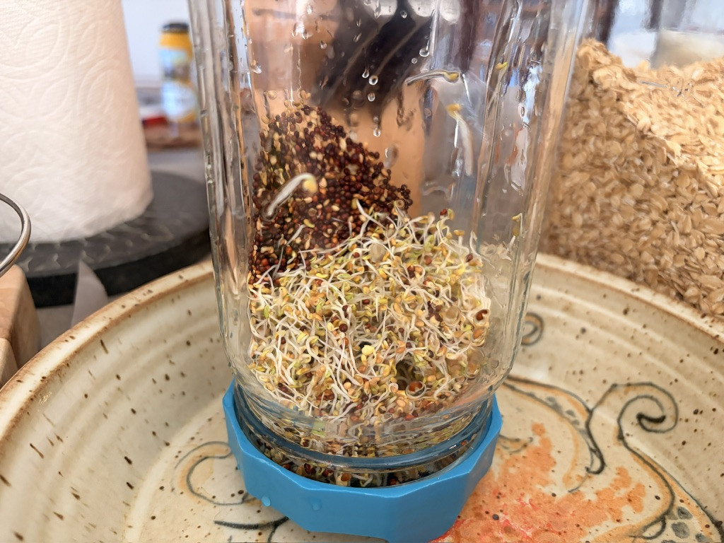 An overturned jar of sprouts.