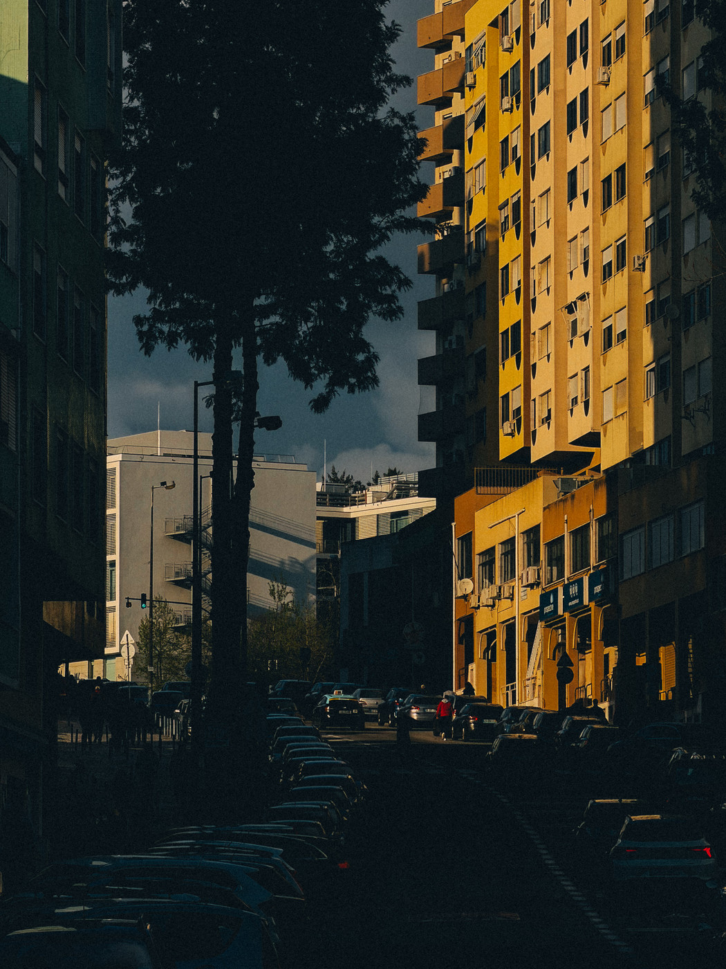Street scene with parked cars in shadow, tall trees, and a yellow apartment building illuminated by warm sunlight against a dark cloudy sky.