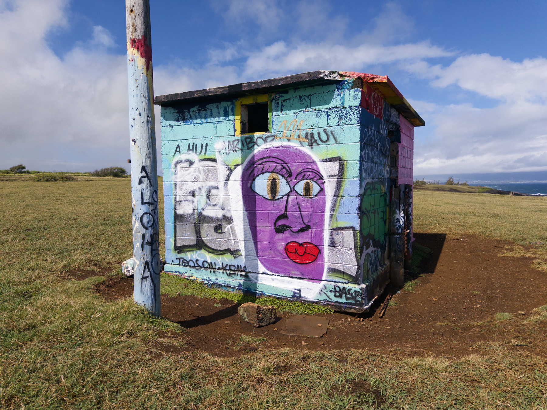A brick building sits in a field of short, grass and dirt. In the distance the ocean can be seen. The sky is cloudy with patches of blue. The side of the building is painted blue with various words on it. Painted over the top of these is a purple face with big blue eyes and red lips.
