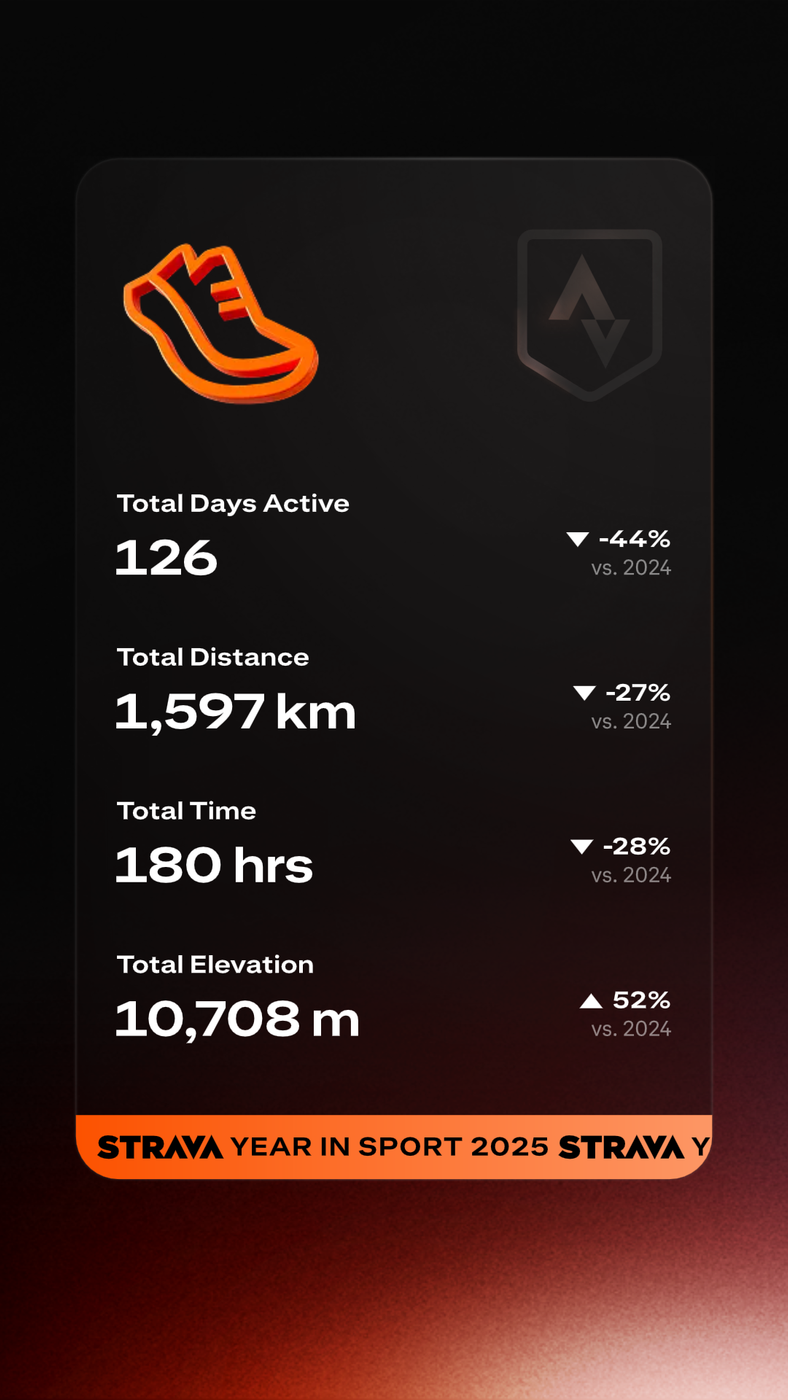 My year in running - alvin in the room