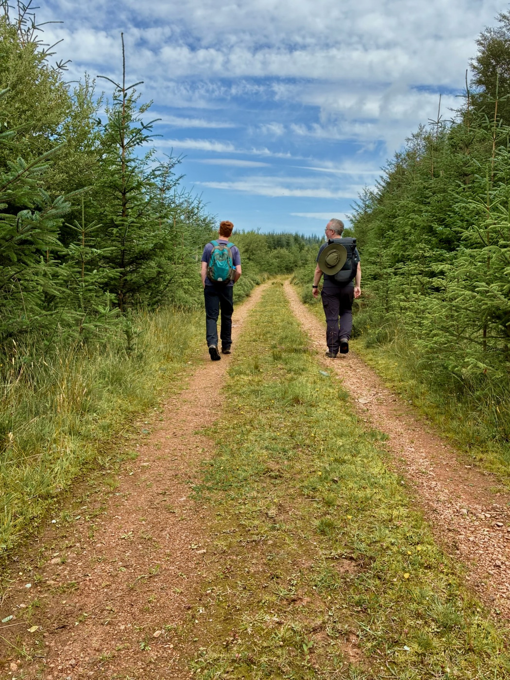 Two people walking away along a gravel forestry track lined with dense evergreen trees beneath streaked clouds and blue sky.