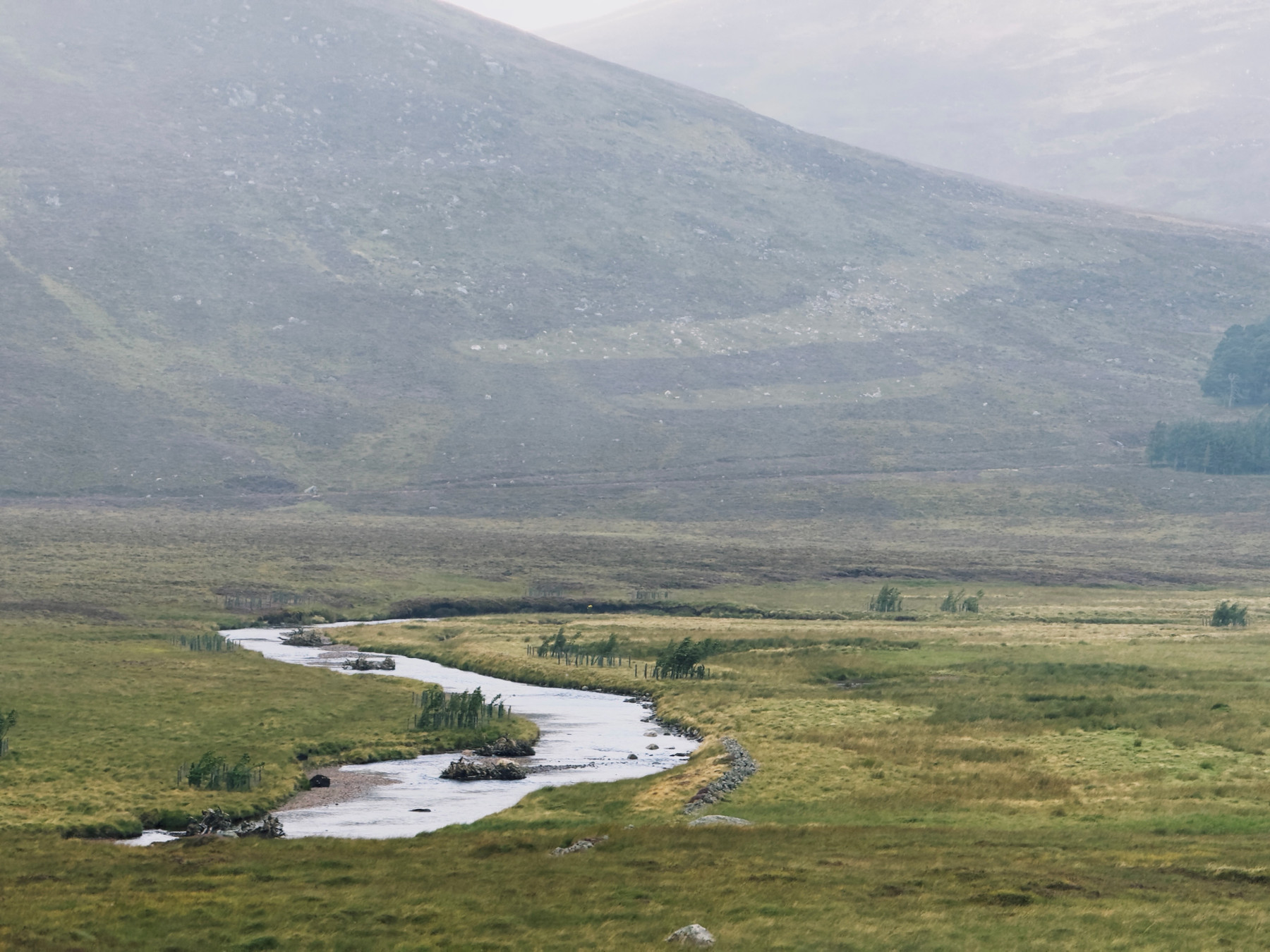 Winding river cutting through a grassy valley beneath misty hills with soft light and muted green tones.