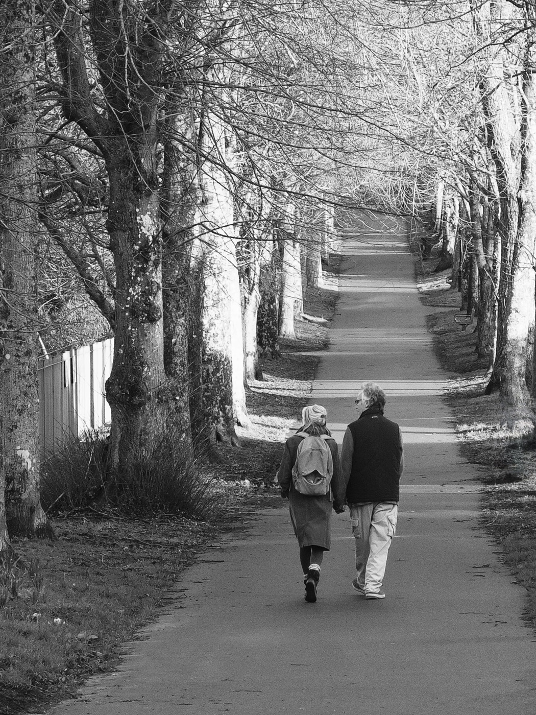 A black and white photograph of an elderly couple walking down a tree-lined path. The path is wet, suggesting recent rain, and the trees are bare, indicating late autumn or winter. The couple is walking side by side, with the woman wearing a coat and a backpack, and the man in a sweater and trousers. The mood of the image is peaceful and contemplative, evoking a sense of quiet companionship and the passage of time. The perspective of the photo draws the eye down the path, creating a sense of depth and journey.
