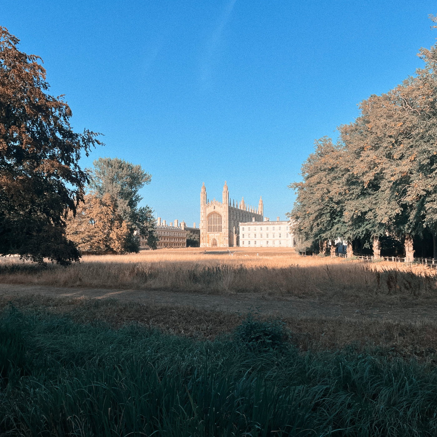 The picture shows blue skies, trees on the left and right, a field of dry, tall grass, and a large chapel in the distance.