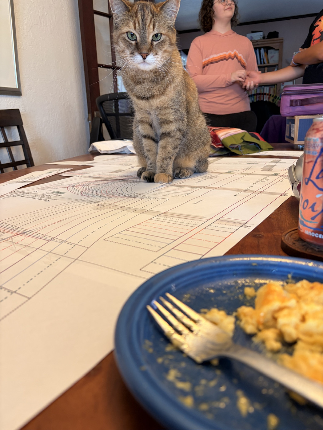 A small brown cat sitting on my sewing pattern, staring at me and my plate of mac and cheese, bloodthirsty vengeance in her eyes.
