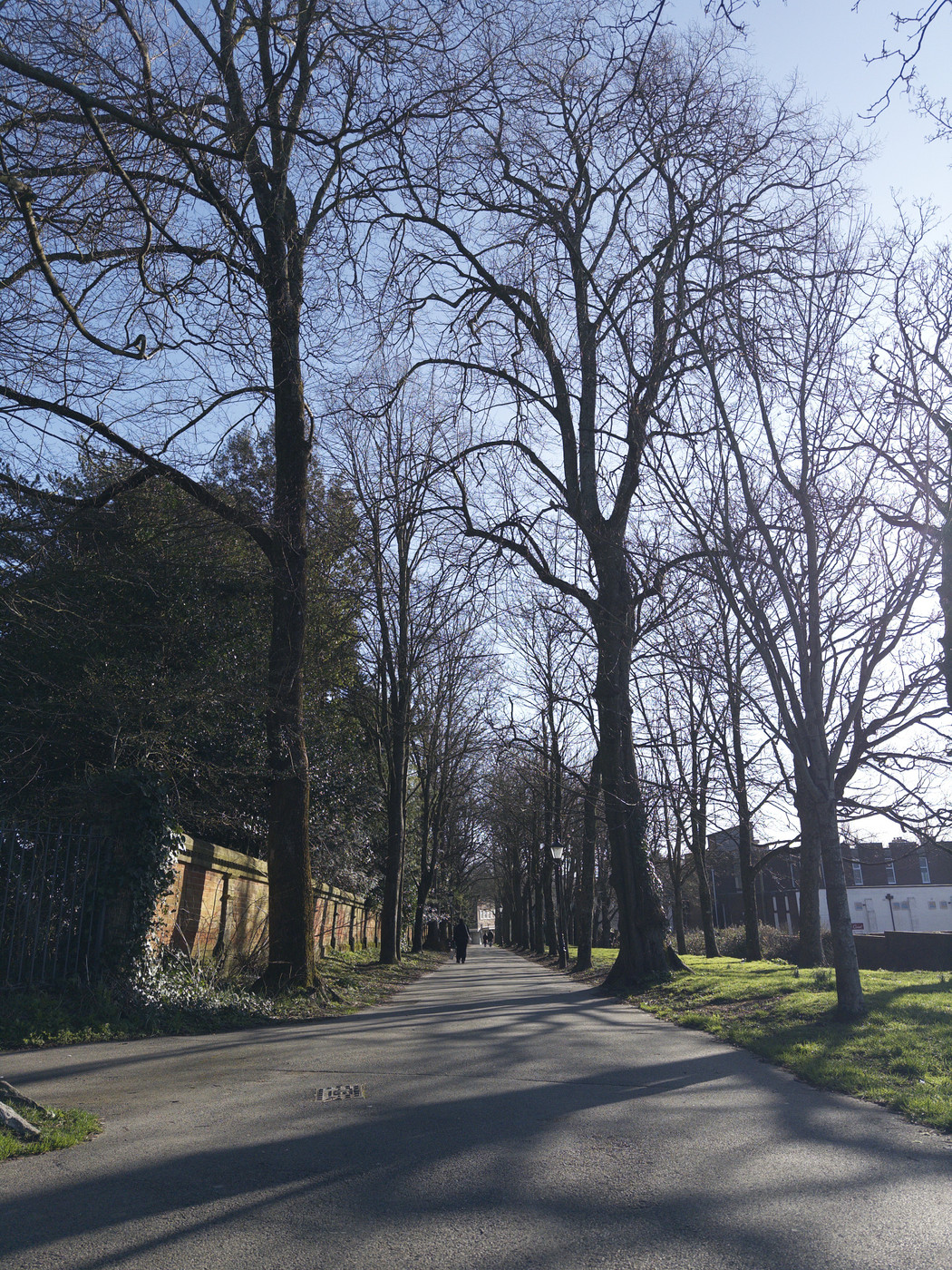 A straight road lined with tall, leafless trees under a clear blue sky. The road is flanked by grass and a brick wall on the left. A few people walk in the distance, creating a peaceful, serene atmosphere typical of early spring.