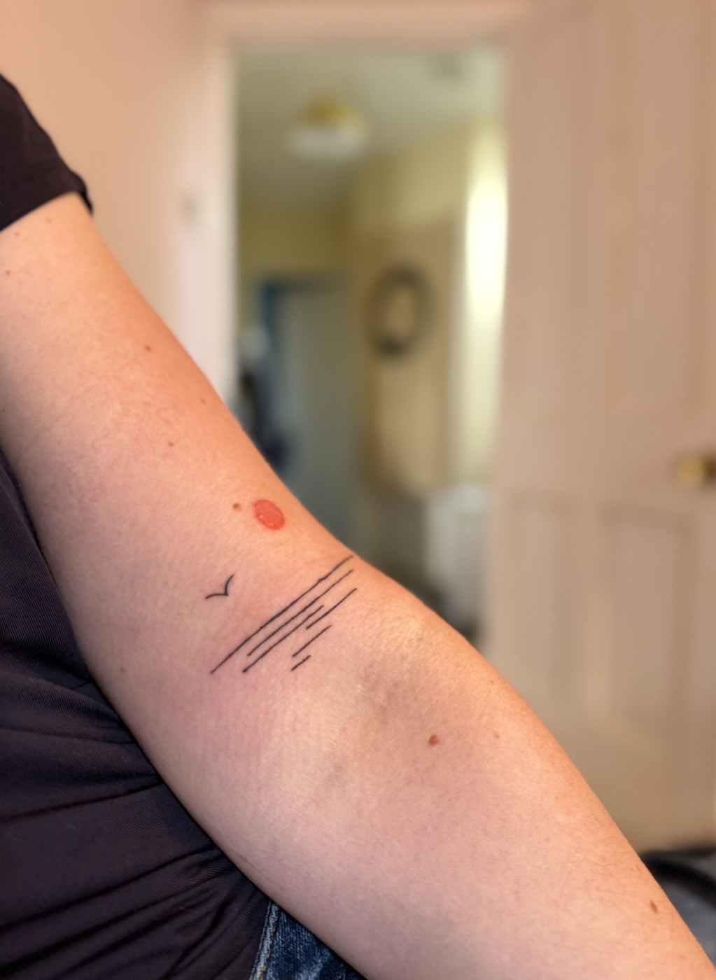 Forearm with minimalist line-art tattoo of a bird and hatched lines representing the sea. A small red sun above, blurred hallway visible behind.