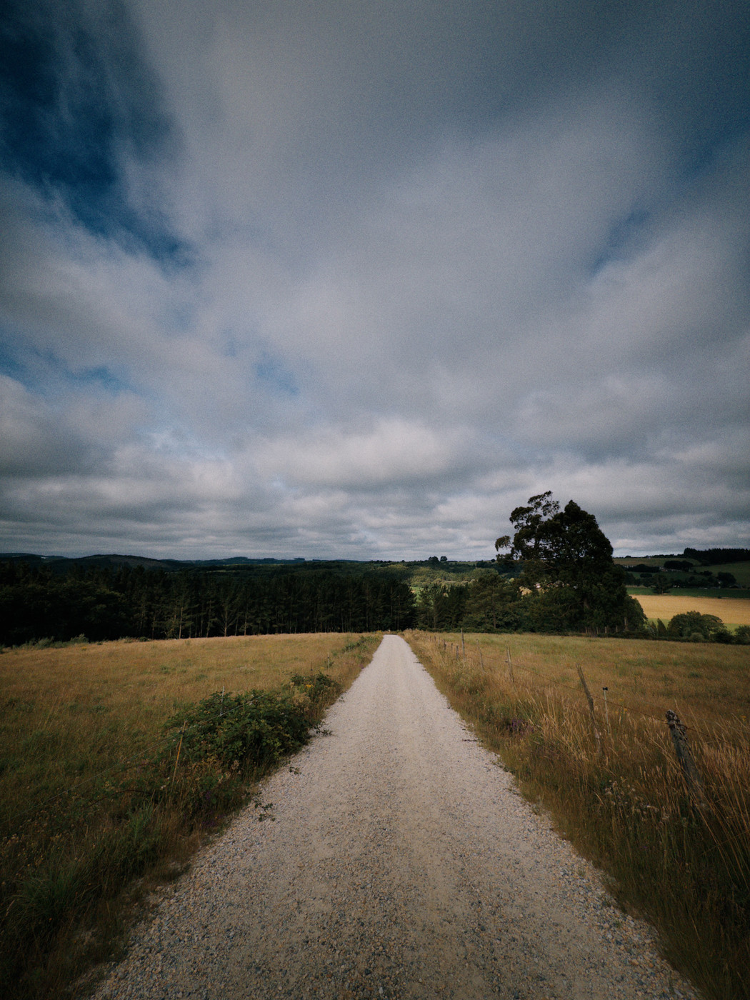 Straight empty dirt road vanishing into a horizon line of trees with a partly cloudy sky on the Camino Primitivo